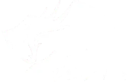 Avatar RF Dragon Scan